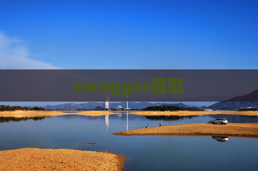 swagger截取 swagger截取